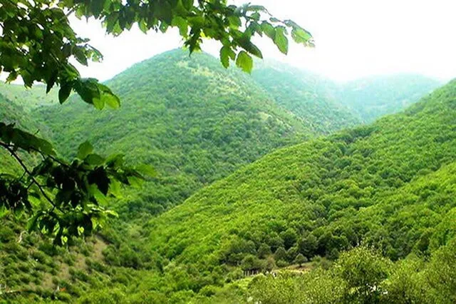 پایش هوشمند ۱۳۵ میلیون هکتار از عرصه‌های طبیعی با ناوگان پهپادی