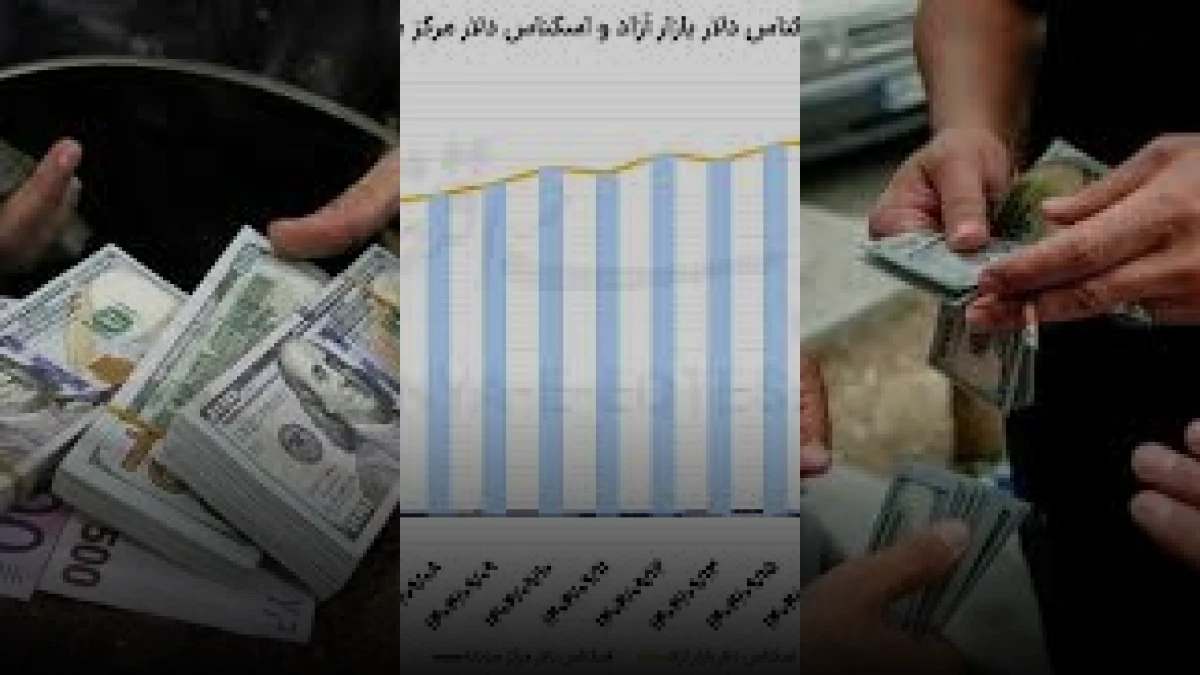 بانک مرکزی ایران با ۶ گام جدید به دنبال تثبیت بازار ارز